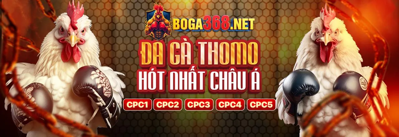 Đá Gà you88 iOS: Trải Nghiệm Cá Cược Đỉnh Cao